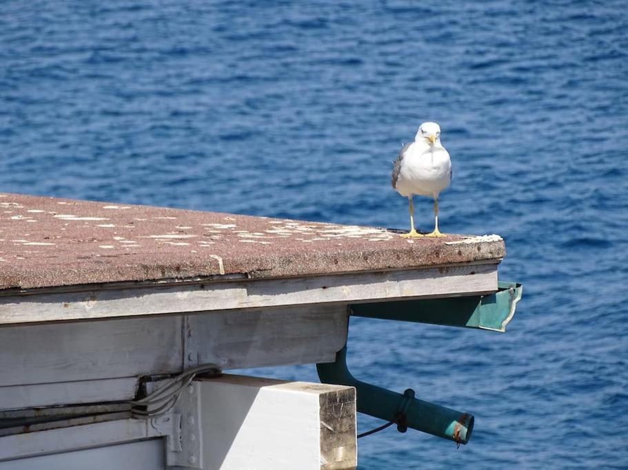 Casa Vela Villa Cefalu Luaran gambar